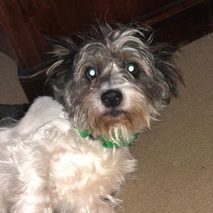 Meet your Posher, Kathryn